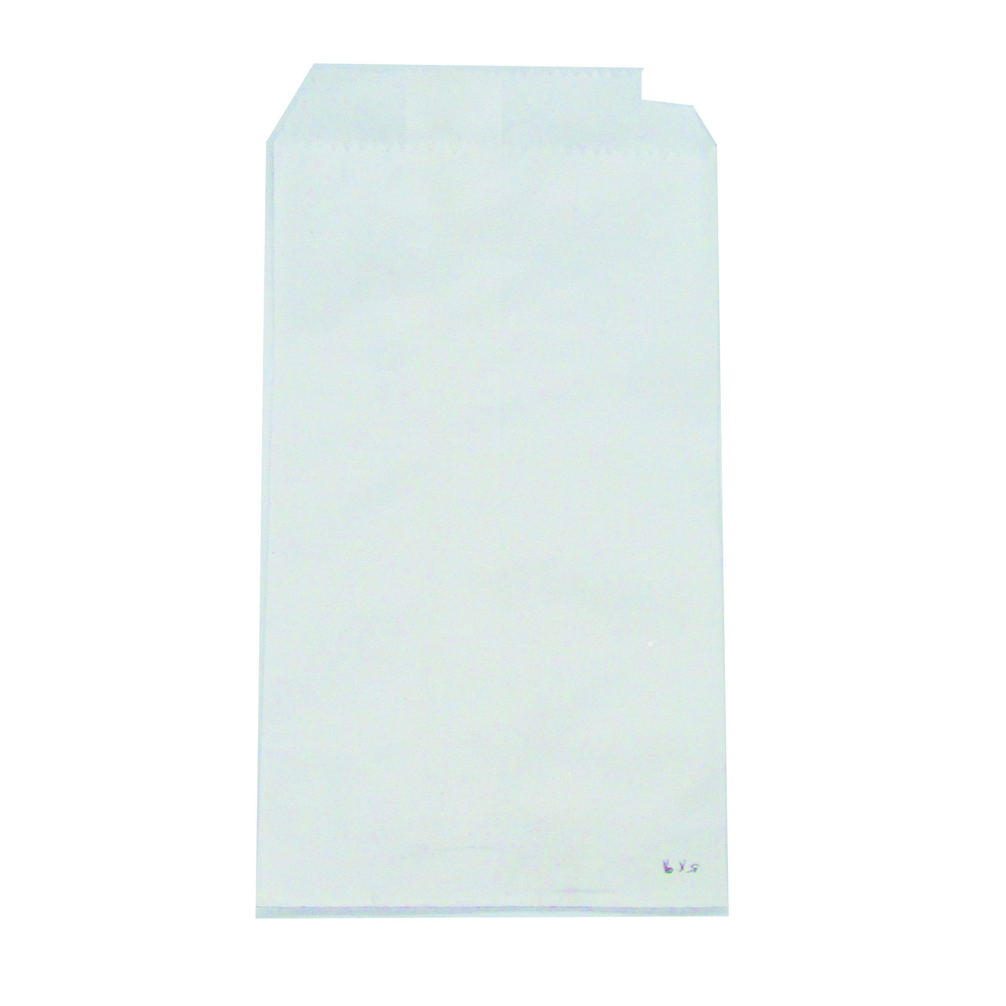 BOLSAS BLANCAS DE PAPEL CHATAS – B04 – TAMAÑO 5 X 9