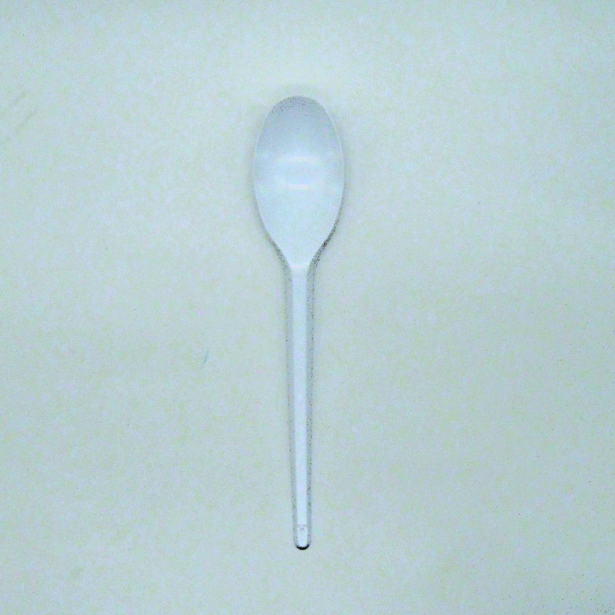 Cucharitas Postre Tami - G03