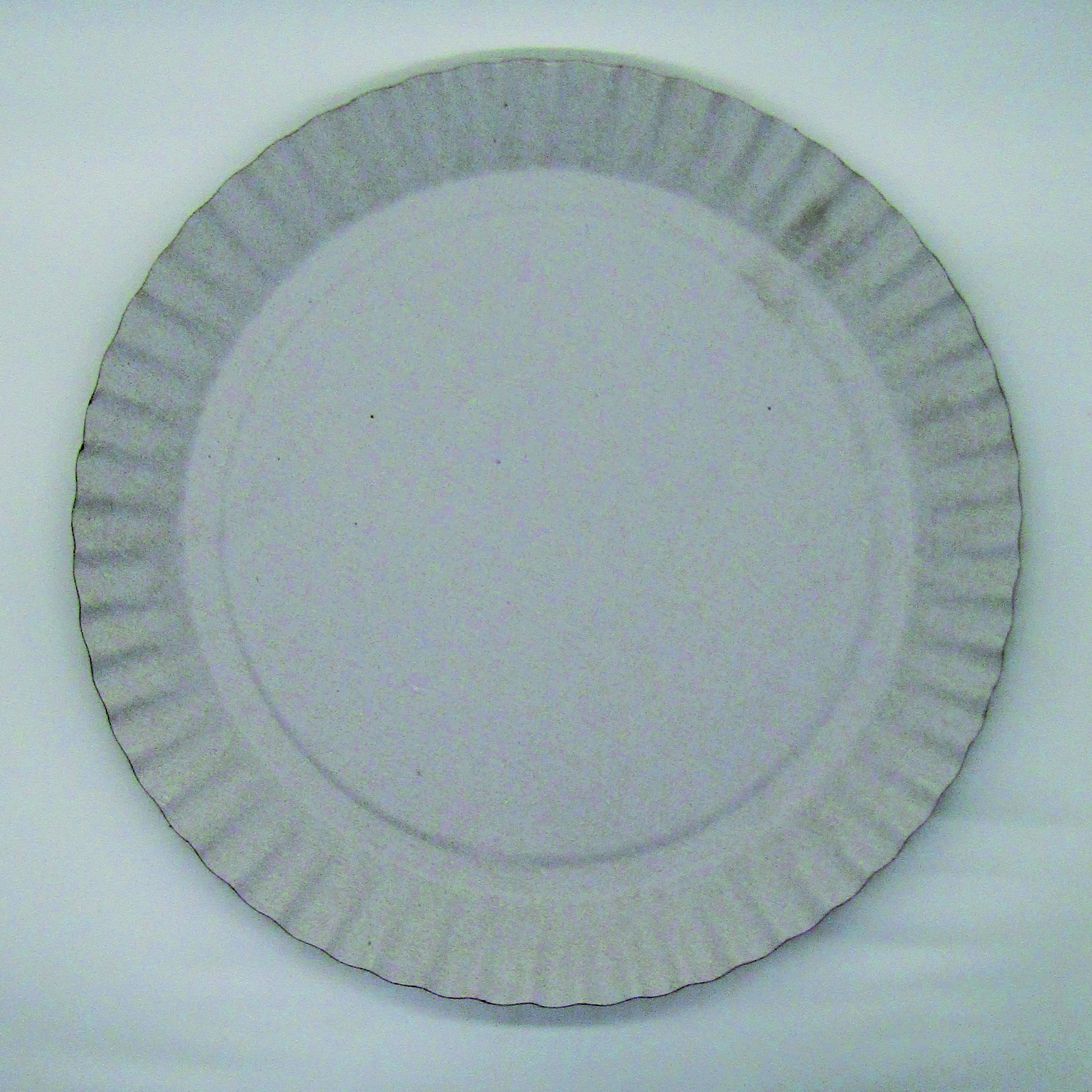 Plato Cartón #10 (25cm) - E08-1