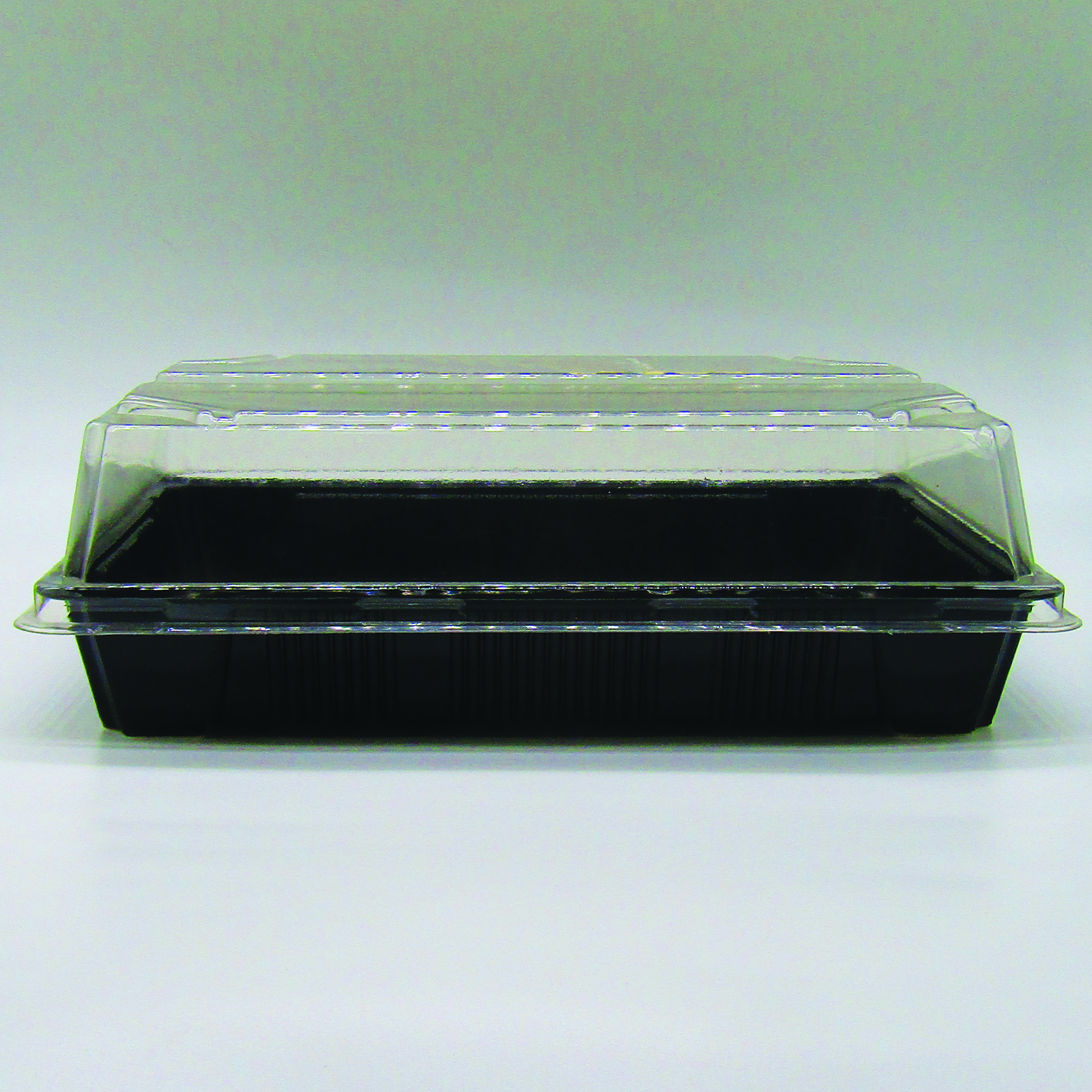 Delipack Sushi G(FA/TA) 1901 - H14-3