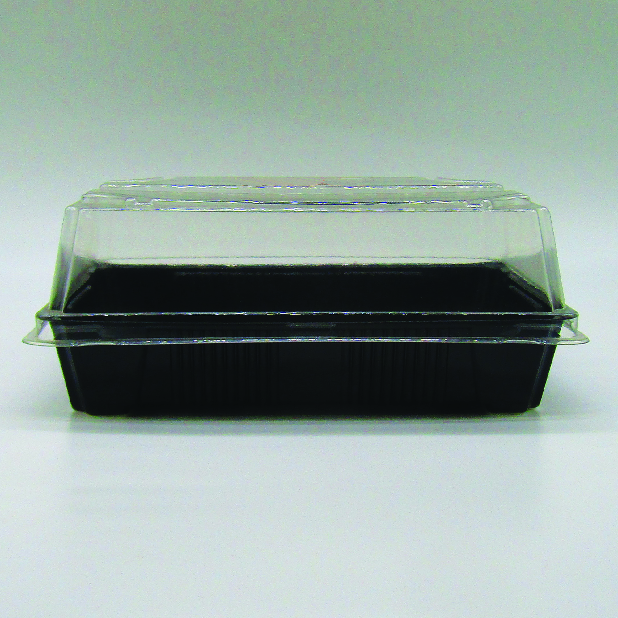 Delipack Sushi P(FA/TA) 1902 - H14-4