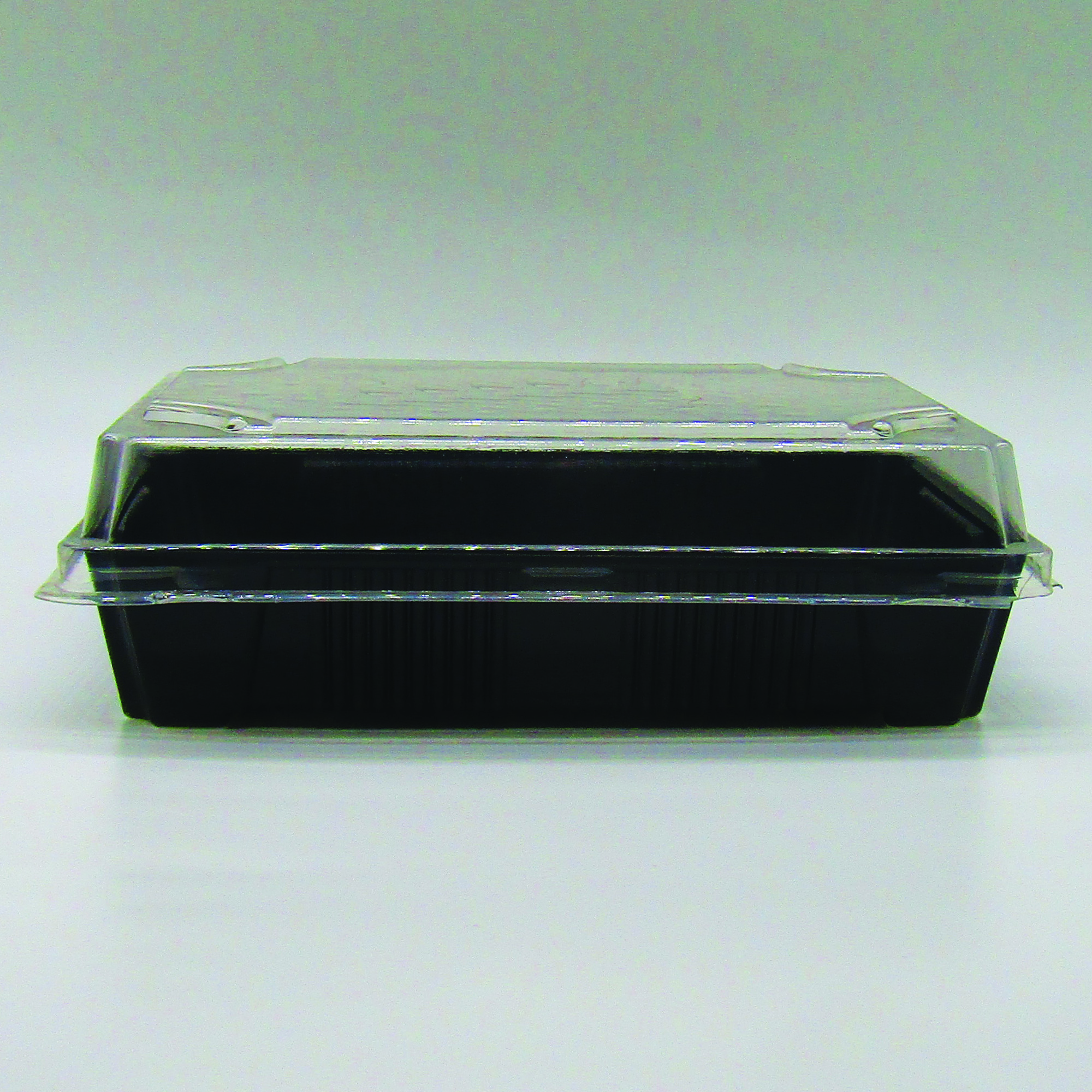 Delipack Sushi P(FA/TB) 1912 - H14-7